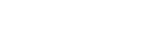 logo audison